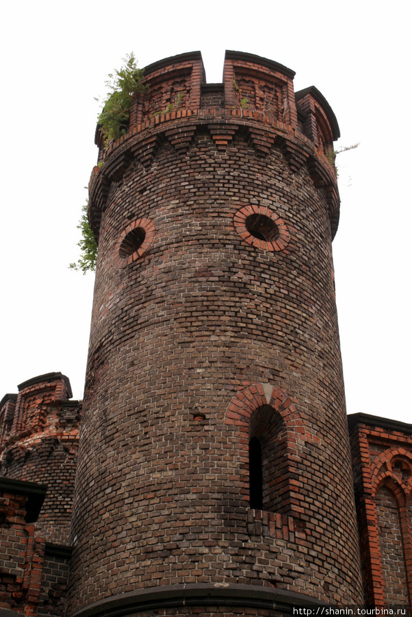 Башня Фридрихсбурггских ворот Калининград, Россия