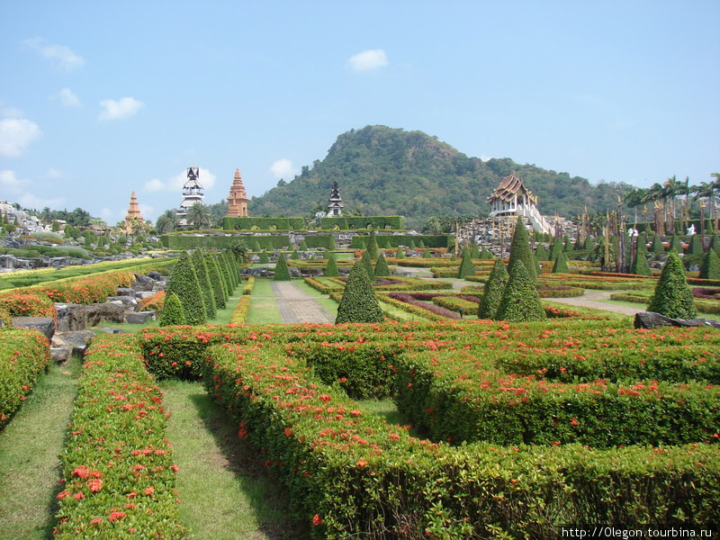 Зелёные просторы Чон-Бури, Таиланд