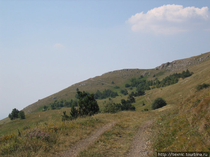 На горных велосипедах около Алушты Алушта, Россия