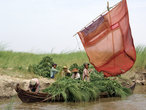 Сенокос на берегу Иравади