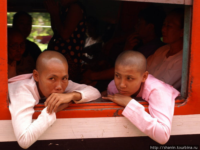 Монашки у окна Мьянма