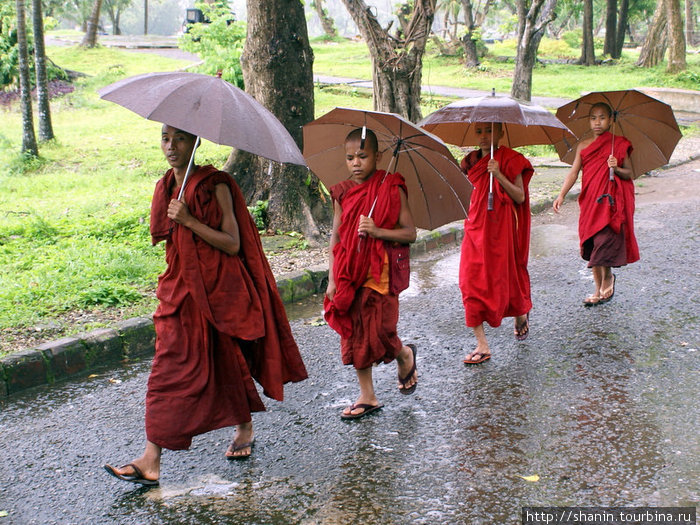 Монахи под зонтиками Мьянма