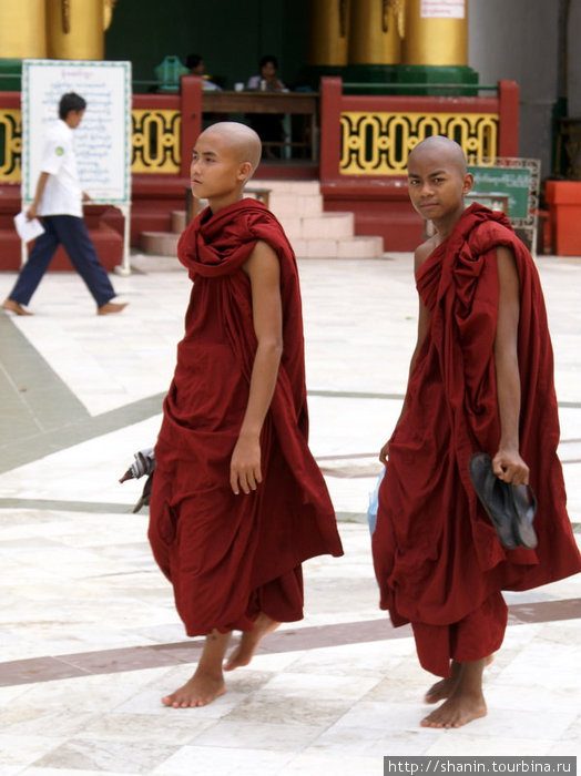 Монахи в Янгоне Мьянма