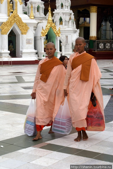 Монашки Мьянма