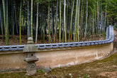 Бамбуковая заросль по дороге к кладбищу в Адасино Нэнбуцу-дзи