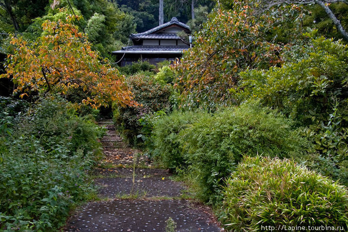 Жилой дом в Арасияме Киото, Япония