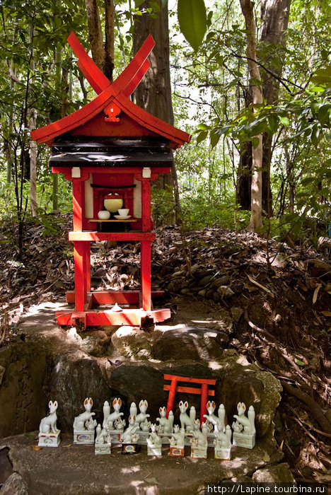 Алтарик богини Инари Киото, Япония