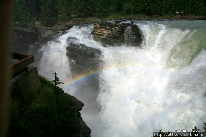 Athabaska falls. Йохо Национальный Парк, Канада