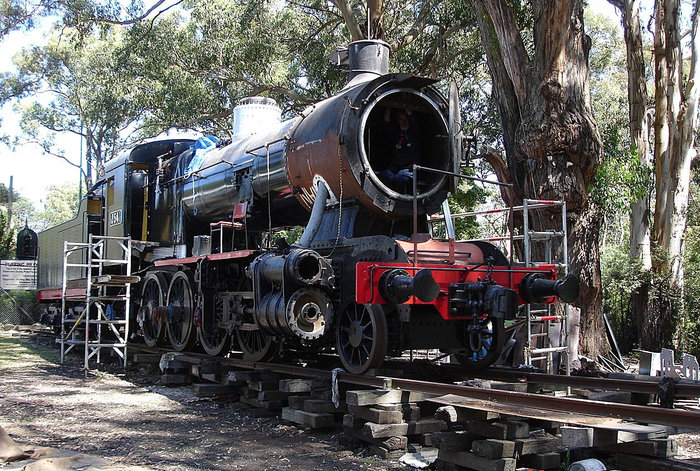 Попугай, вино и паровоз —  впечатлений целый воз Мельбурн, Австралия