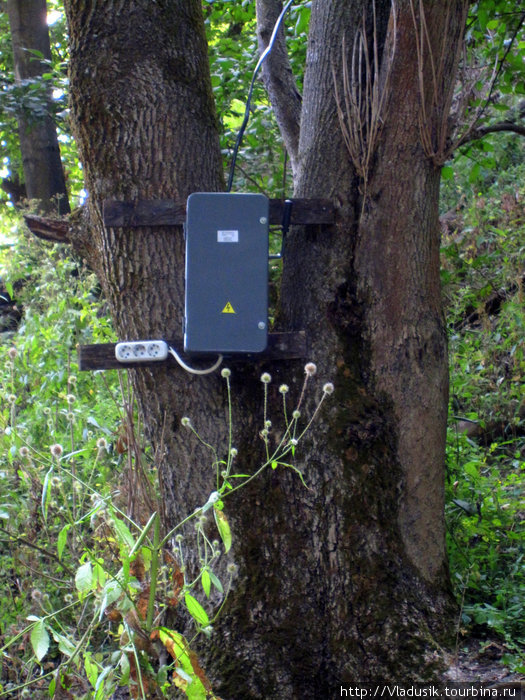 В лесах Брянской области вы всегда сможете подзарядить севший мобильник!