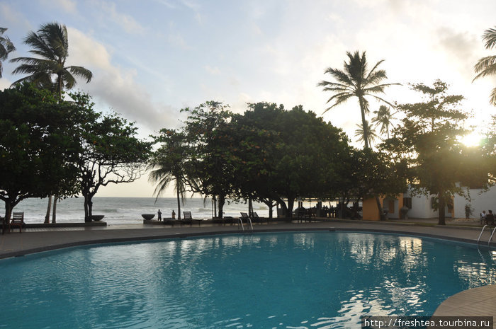 Ресторан отеля — за бассейном, прямо над водой. Редкий отель на других курортах западного побережья может подобным похвастаться! Хиккадува, Шри-Ланка