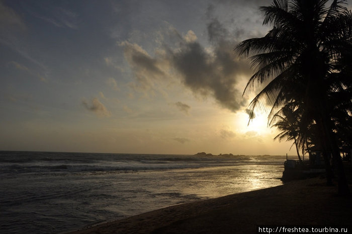 Закаты в Хиккадуве — мистические. Ловить в объектив фотокамер такие картины на берег собирается добрая половина гостей отеля. Хиккадува, Шри-Ланка