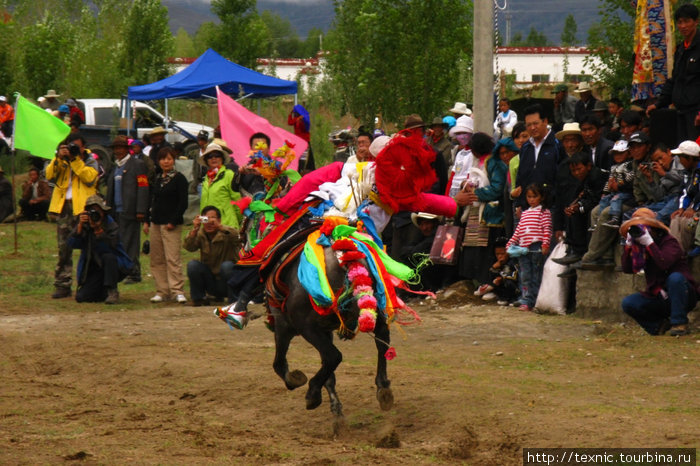 Тибет, фестиваль, лошадиные скачки Тибет, Китай