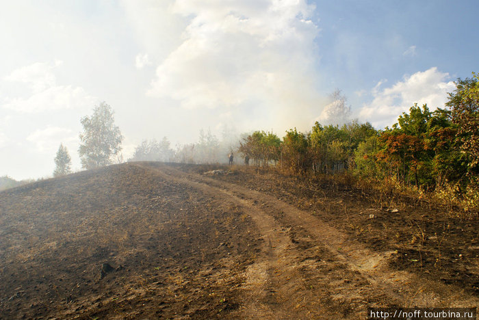 В этом году окрестности леса в Жигулёвске пострадали весьма сильно от пожаров.
Подробнее можно почитать здесь:
http://do-manus.livejournal.com/5440.html
http://do-manus.livejournal.com/6248.html Жигулёвск, Россия