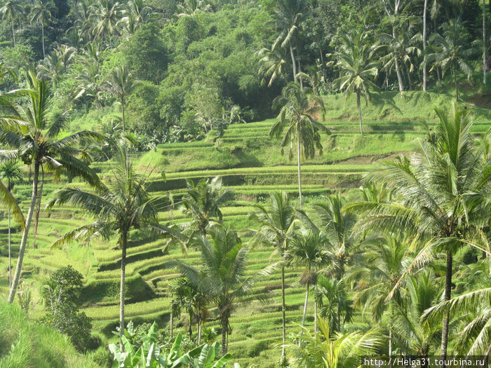 Бали - рай на земле! Кута, Индонезия