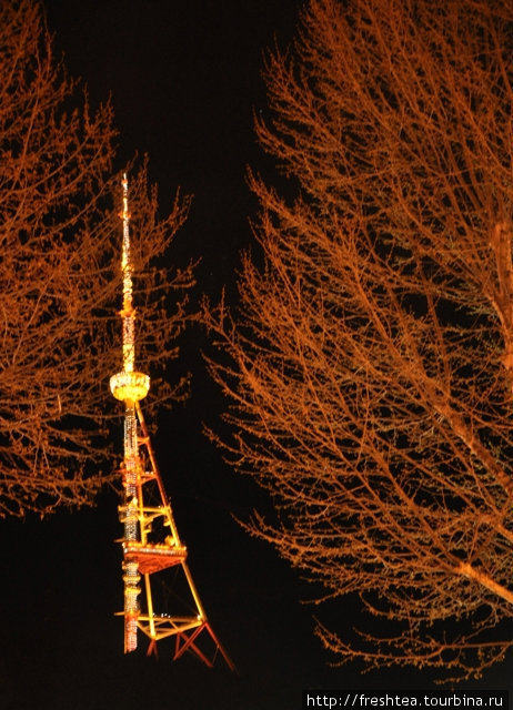 Тбилисская телевышка, что венчает гору Мтацминду, в отличие от новогодней елки, искрится разноцветными огнями весь год и видна отовсюду. На этом снимке — с проспекта Руставели, что лежит у подножия знаменитой вершины грузинской столицы. Грузия