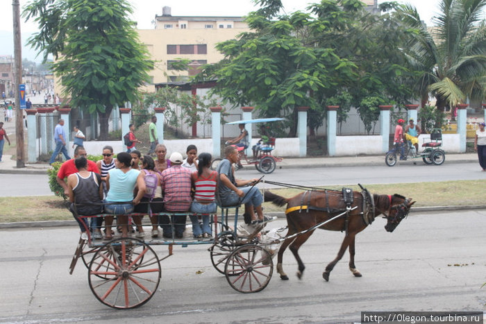 Лошадки- экологический транспорт Куба