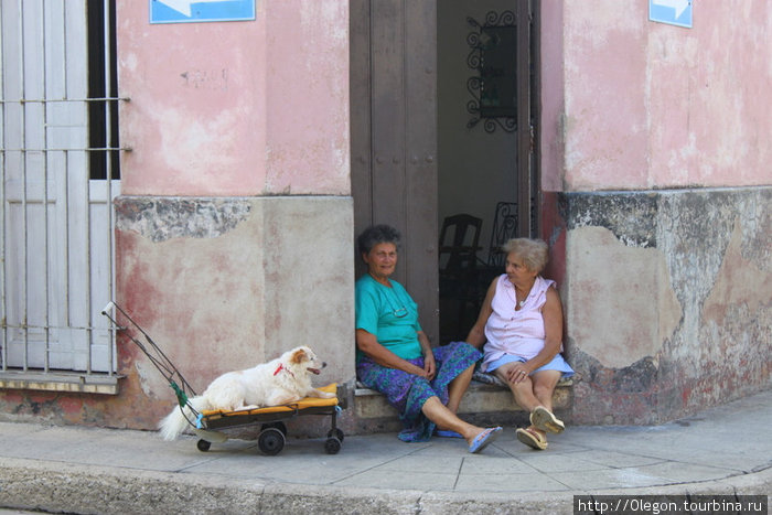 Жители Кубы Куба