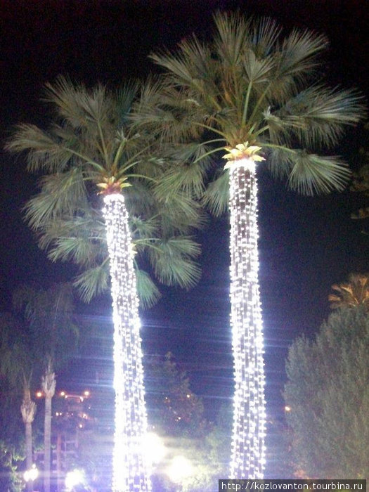 Новогодние пальмы. Монако