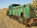 Архаические узкоколейные поезда южней Луксора