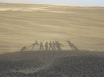 В походе по пустыне Сахара