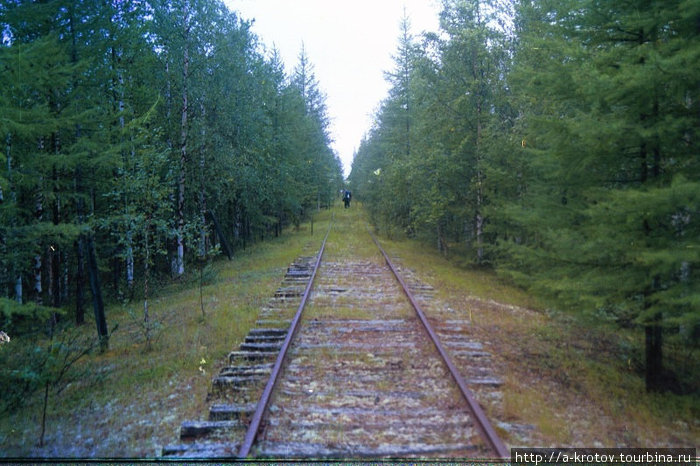 Железная дорога Салехард-Надым-Игарка (501-я и 503-я стройки ГУЛАГа) сооружалась в 1949-53 гг при Сталине силами заключённых. В 1953 году строительство было прекращено, стройка заброшена. Надым, Россия