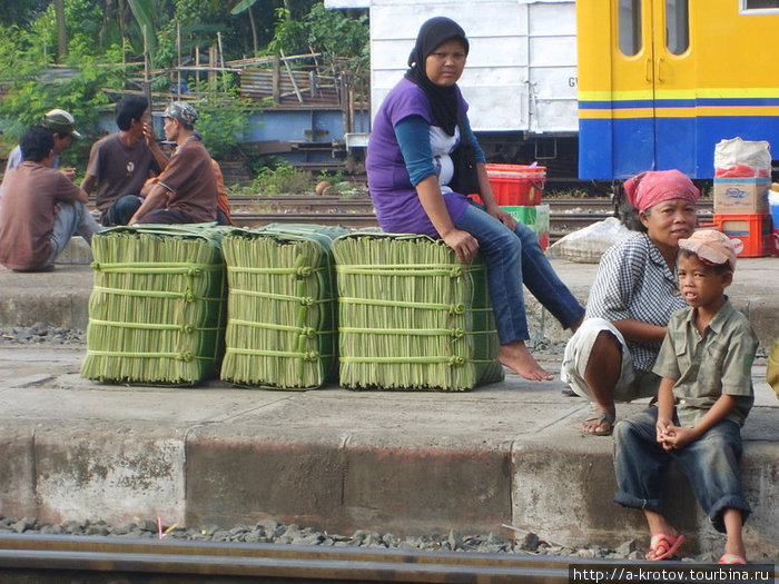 Перевозка больших тюков бананового листа Ява, Индонезия