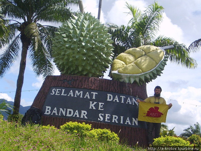 Сериан-Бандар: малайский городок со статуей фрукта дуриана на въезде Кота-Кинабалу, Малайзия