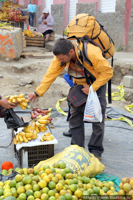 В Эквадоре много бананов