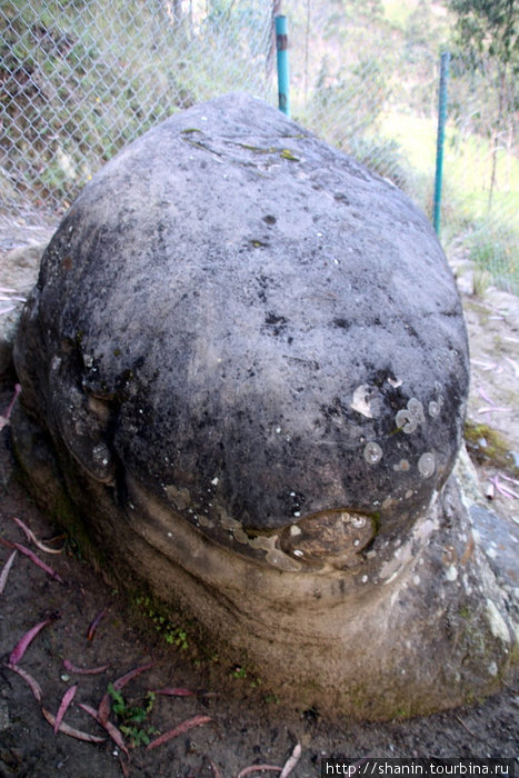 Камень-черепаха Ингапирка, Эквадор