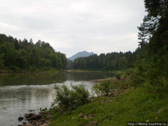 Река Лебедь Республика Алтай, Россия