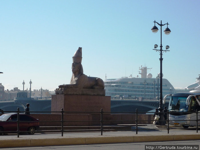 Сфинкс на фоне гигантского круизного лайнера. Санкт-Петербург, Россия