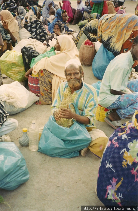 Чат — его богатство (наркопродавец) Харэр, Эфиопия