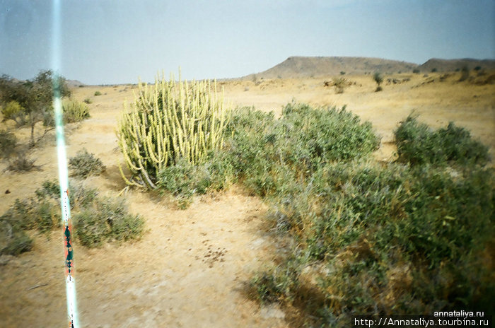 Пустыня Тар Джайсалмер, Индия
