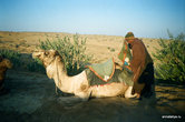 Нура с верблюдом