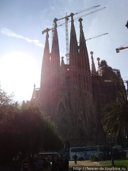 Строительные краны становятся такой же неотъемлемой частью пейзажа, как и башни Барселона, Испания