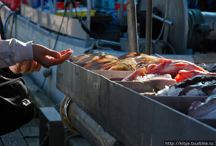 Люди покупают рыбу. Ричмонд, Канада