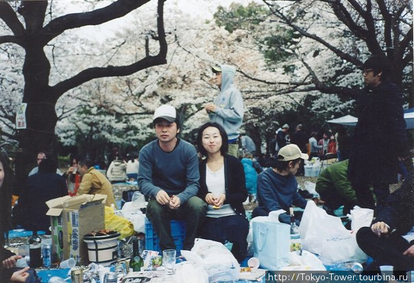 Молодая пара: она студентка, которая хочет уехать в США; он учитель английского языка в школе. Очень приятная пара на фоне цветов Токио, Япония