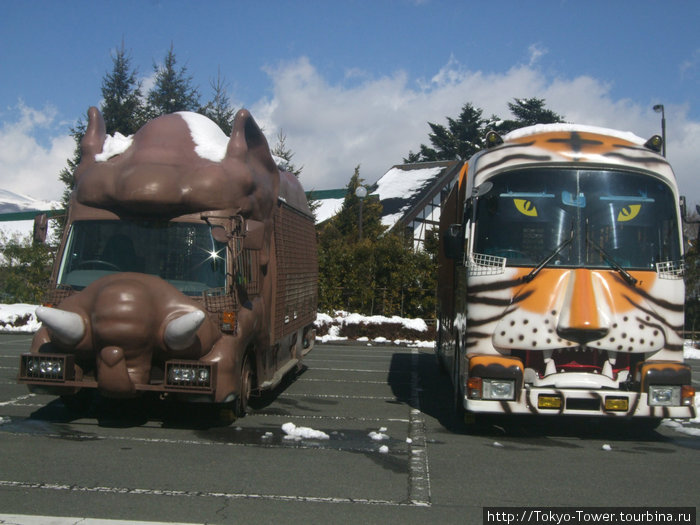 Таких автобусов много разновидностей, стилизованных под внешний вид животных. Есть еще мини-автобусы Япония