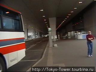 Автобусная остановка
  Аэропорт Нарита Япония