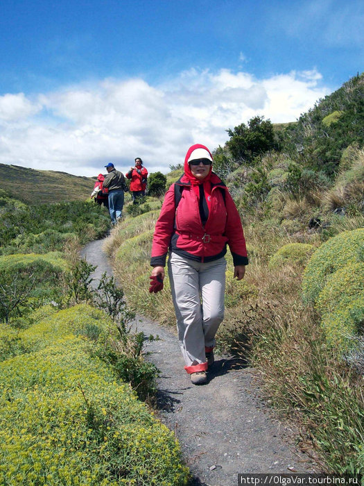 Пешая прогулка по тропе в парке Торрес-дель-Пайне Национальный парк Торрес-дель-Пайне, Чили
