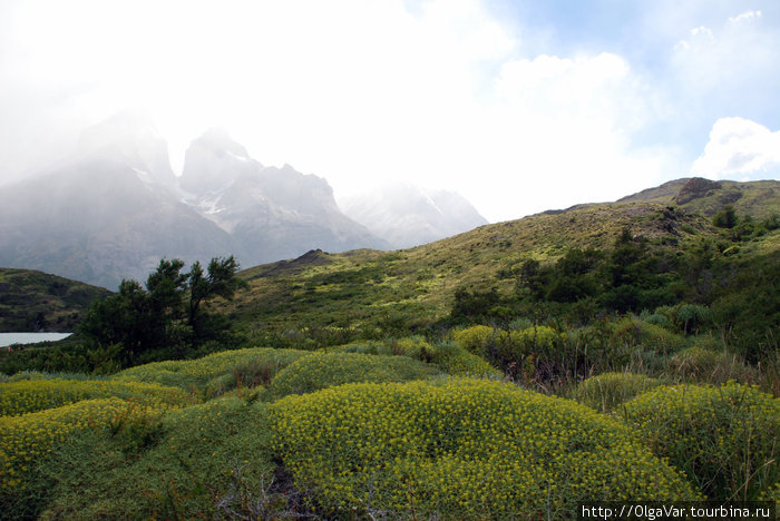 Прогулки по горным тропам Торрес-дель-Пайне Национальный парк Торрес-дель-Пайне, Чили