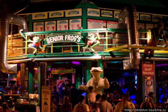 Senior Frog's Bar