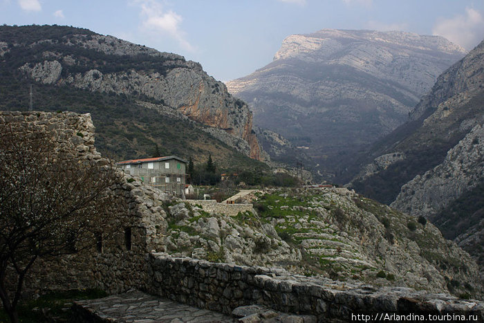 Crna Gora, или Monte Negro или Черногория Черногория