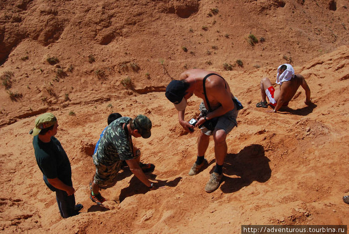 Нашли известняковые отложения. Баянцаг. Кладбище динозавров Южно-Гобийский аймак, Монголия