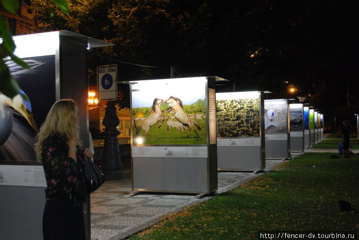 Ночные выставки Рудольфинума Прага, Чехия