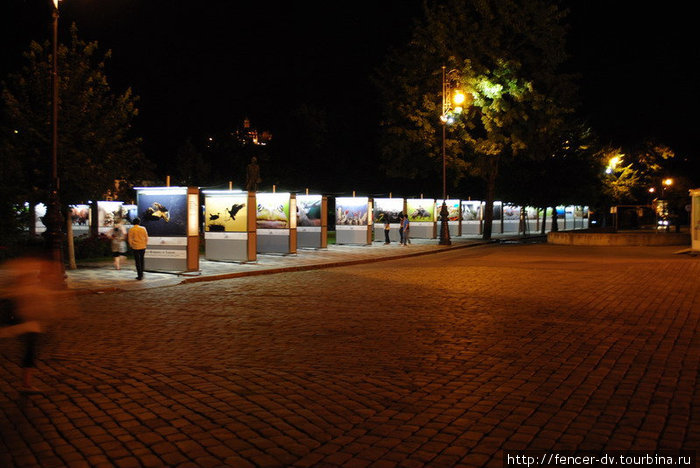 Ночные выставки Рудольфинума Прага, Чехия
