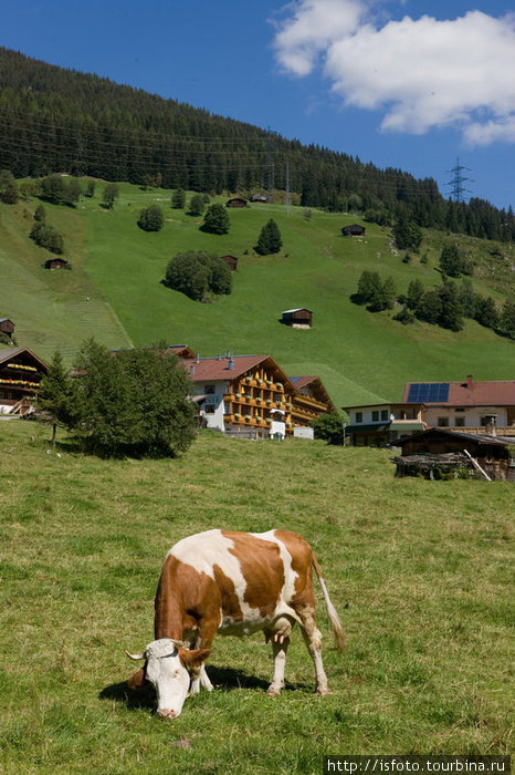 Альпийская идиллия. Земля Тироль, Австрия