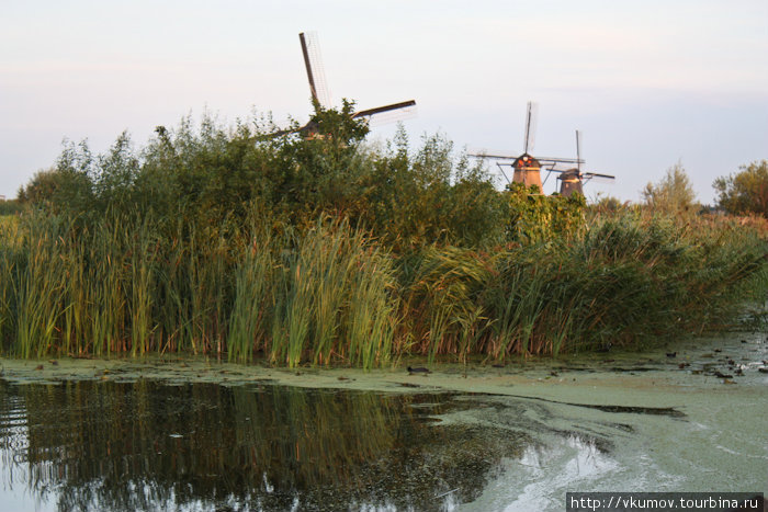 Незабываемые дороги Голландии: Kinderdijk Киндердейк, Нидерланды