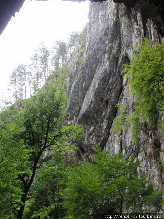 Рядом с Шкоцанскими пещерами Шкоцянские пещеры, Словения
